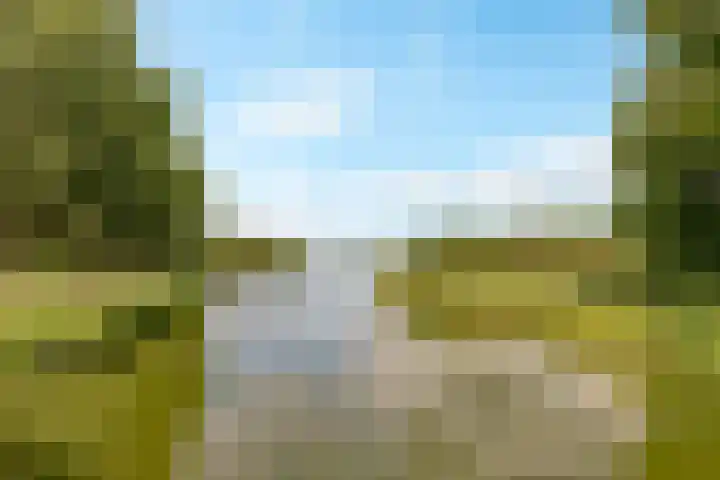 Reggeplantsoen 5 Almere thumbnail 66