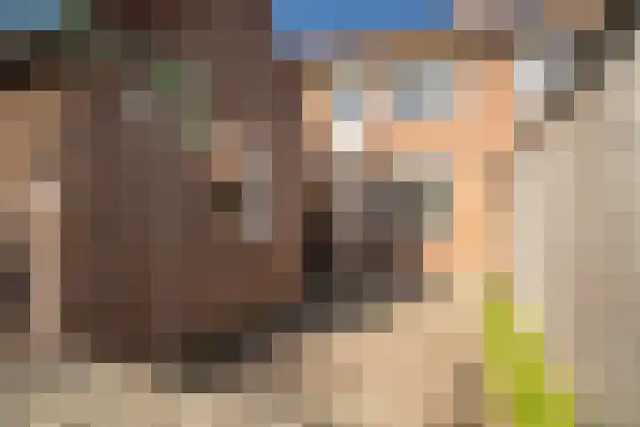 Reggestraat 4 Enschede thumbnail 23