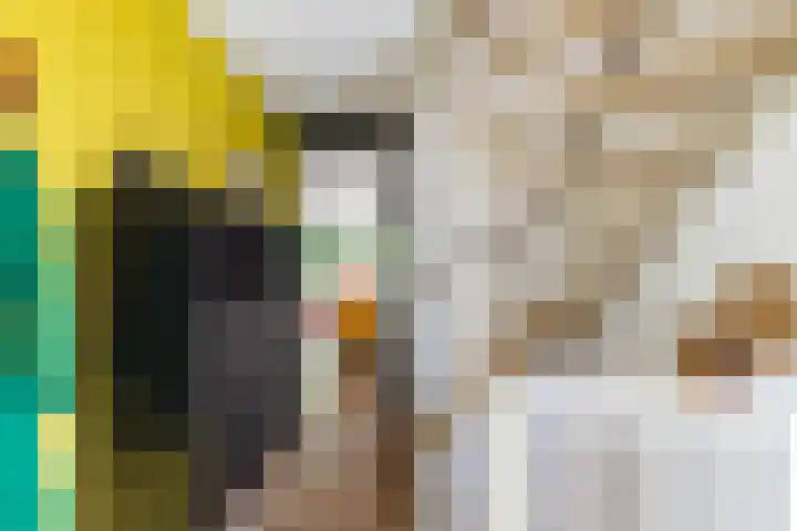 Regimentslaan 16 Zuidlaren thumbnail 20