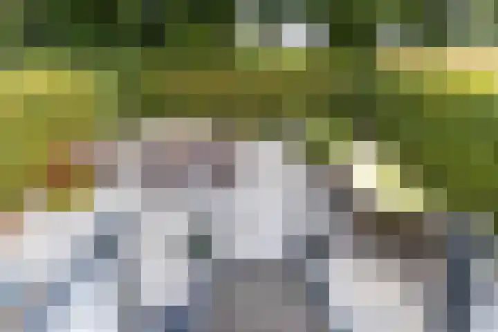 Regimentslaan 16 Zuidlaren thumbnail 36