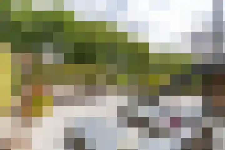 Regimentslaan 16 Zuidlaren thumbnail 40
