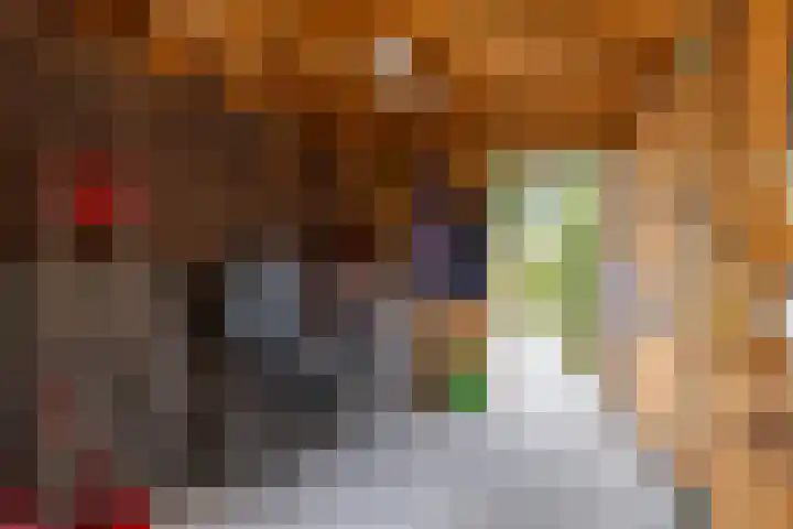 Regimentslaan 16 Zuidlaren thumbnail 42