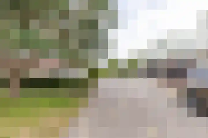 Regimentslaan 16 Zuidlaren thumbnail 44