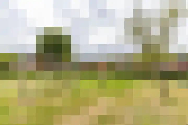 Regimentslaan 16 Zuidlaren thumbnail 45