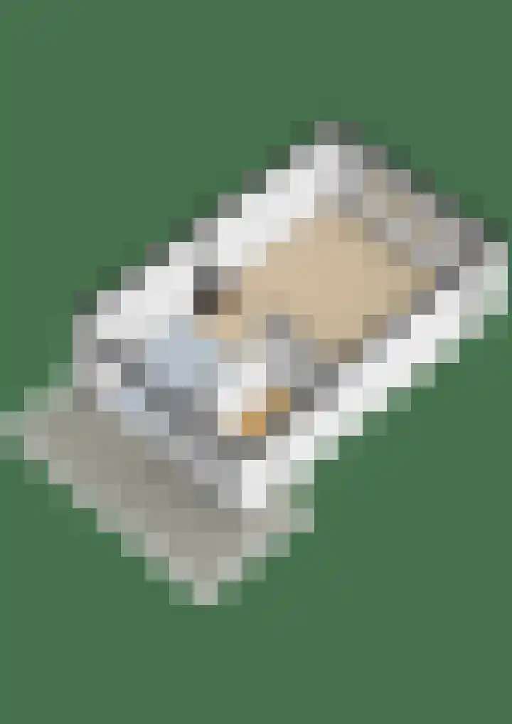 Regimentslaan 16 Zuidlaren thumbnail 52