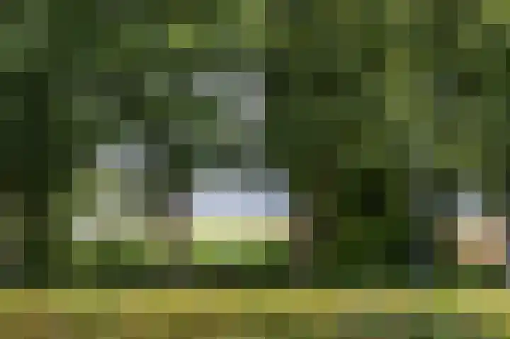 Regimentslaan 16 Zuidlaren thumbnail 6
