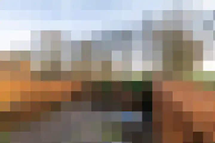 Regimentslaan 18 Zuidlaren thumbnail 16