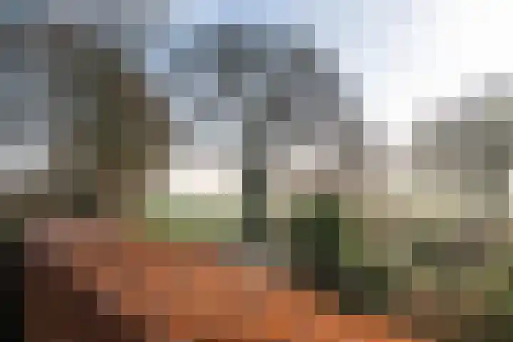 Regimentslaan 18 Zuidlaren thumbnail 17