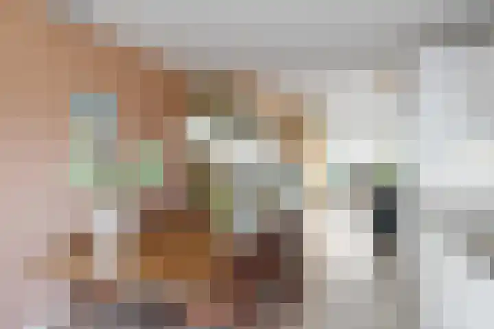 Regimentslaan 18 Zuidlaren thumbnail 24