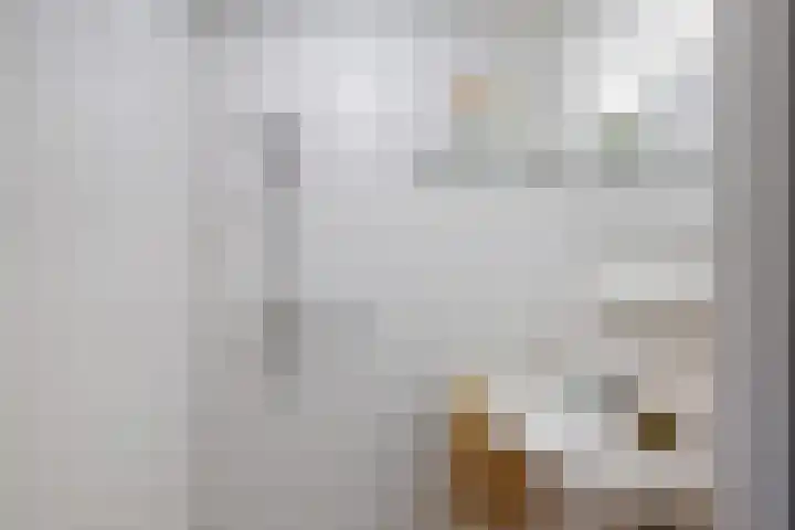 Regimentslaan 18 Zuidlaren thumbnail 34