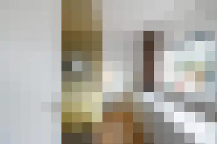 Regimentslaan 18 Zuidlaren thumbnail 39