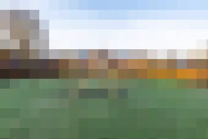 Regimentslaan 18 Zuidlaren thumbnail 7