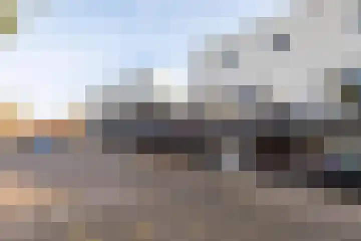 Regimentslaan 18 Zuidlaren thumbnail 8
