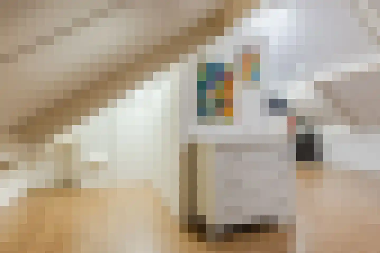 Screenshot der Website von www.regiomakelaar.eu