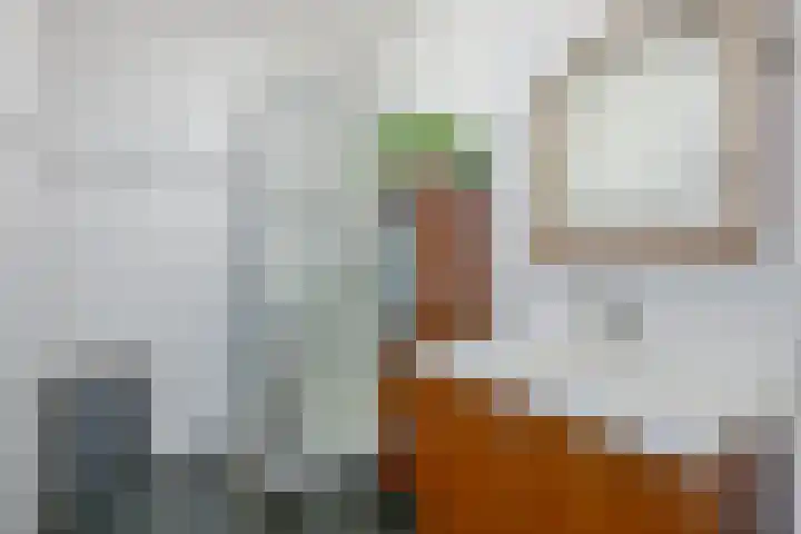 Regioplein 47 Schagen thumbnail 18
