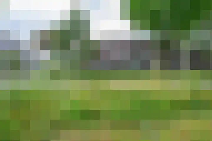 Regioplein 47 Schagen thumbnail 30