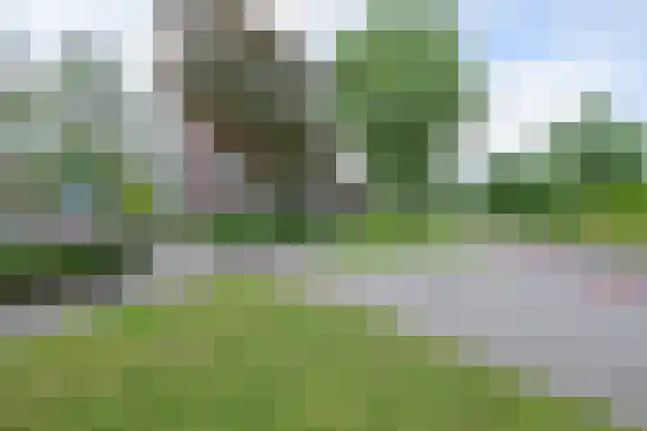 Regioplein 47 Schagen thumbnail 32