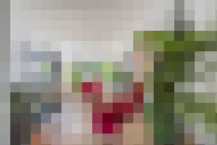 Regulus 4 Waddinxveen thumbnail 10