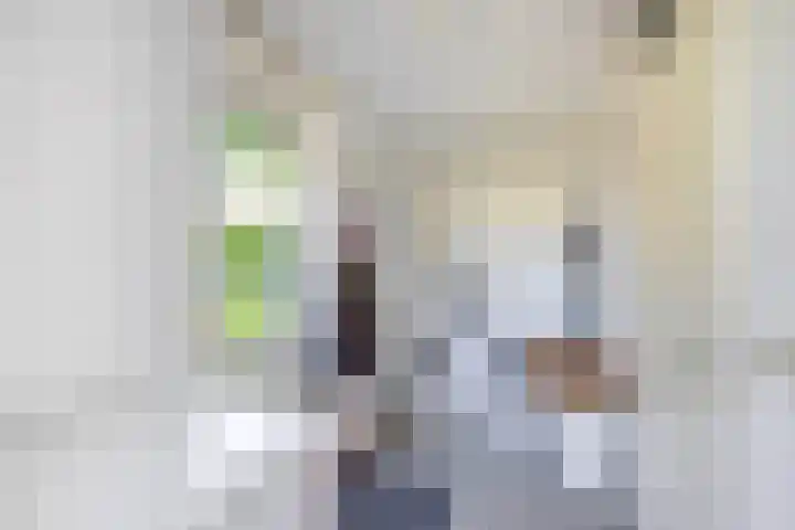 Regulus 4 Waddinxveen thumbnail 16