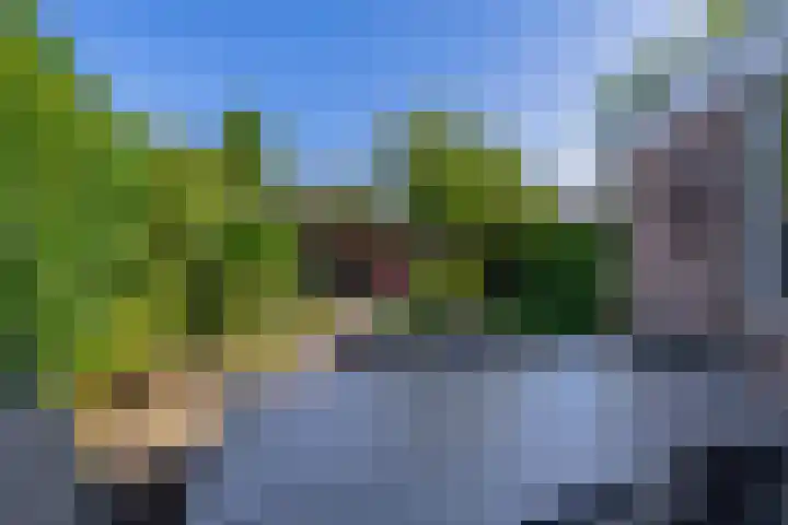 Regulus 4 Waddinxveen thumbnail 18