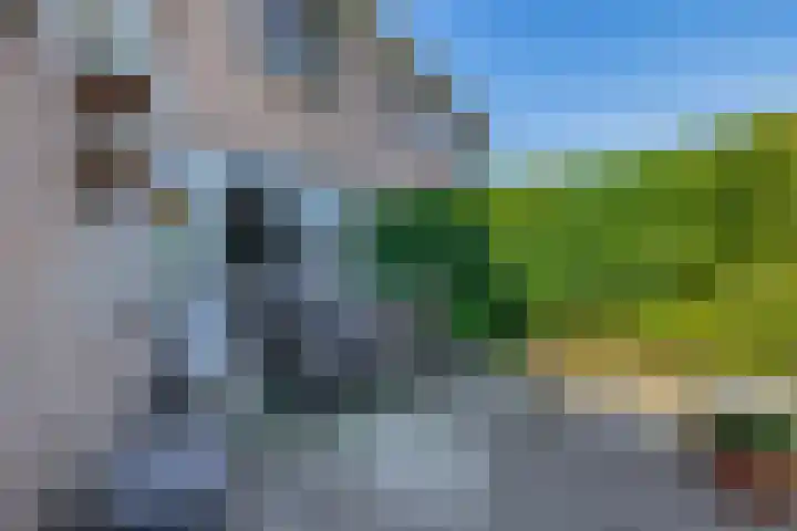 Regulus 4 Waddinxveen thumbnail 22