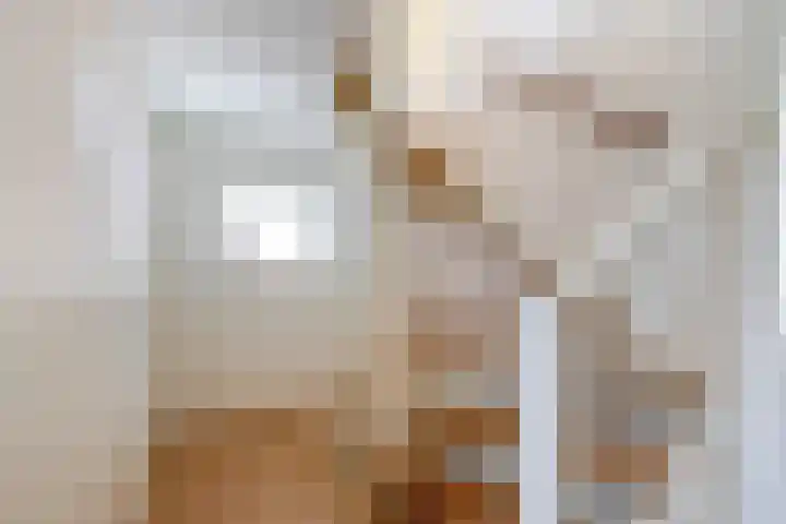 Regulus 4 Waddinxveen thumbnail 23