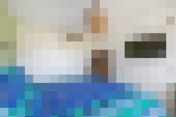 Regulus 4 Waddinxveen thumbnail 25