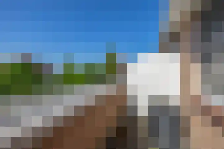 Regulus 4 Waddinxveen thumbnail 26