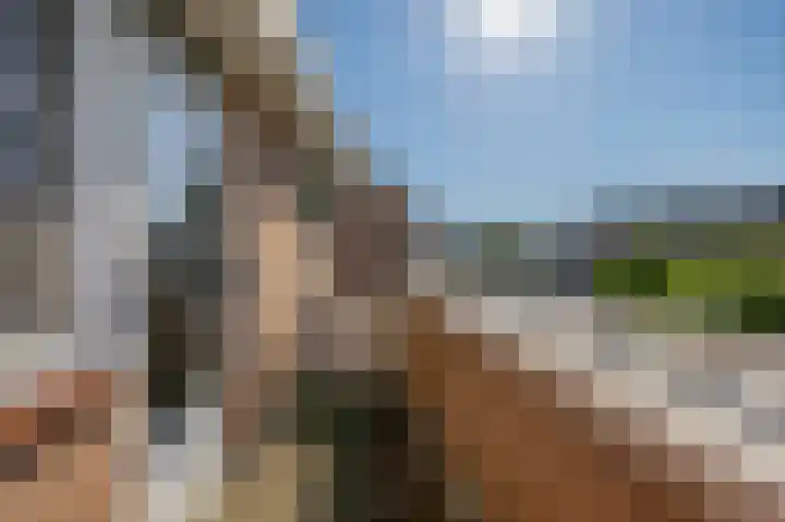 Regulus 4 Waddinxveen thumbnail 27