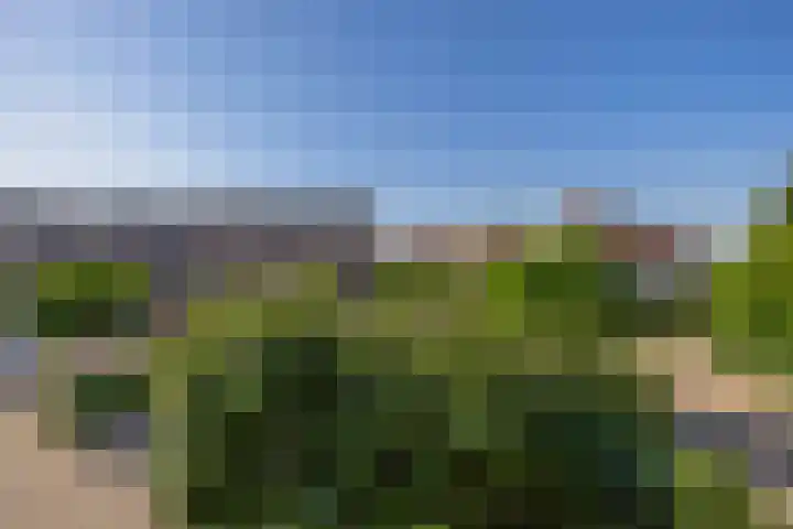 Regulus 4 Waddinxveen thumbnail 28