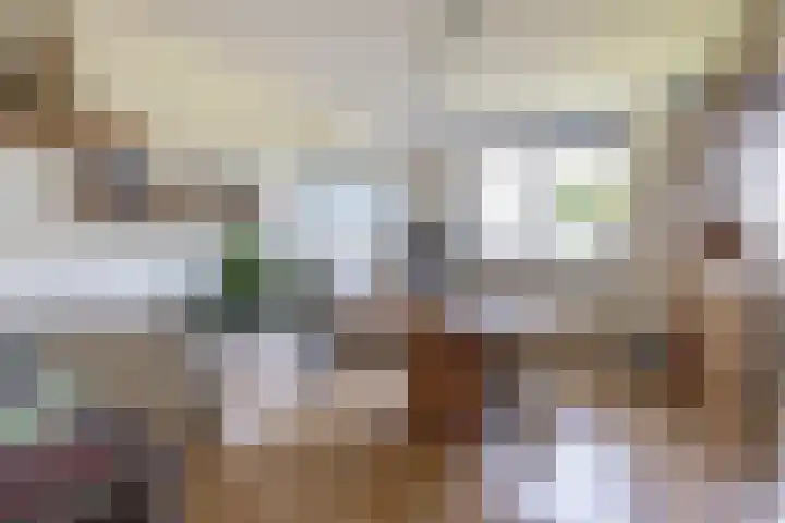 Regulus 4 Waddinxveen thumbnail 32