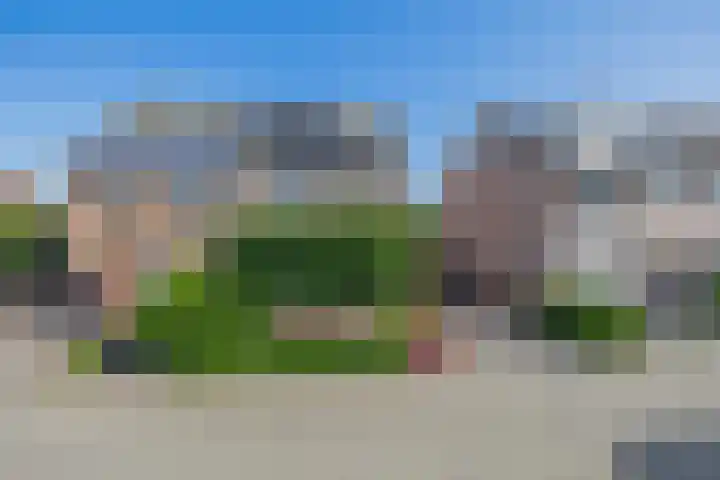 Regulus 4 Waddinxveen thumbnail 4