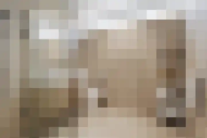 Reiderland 2 Zoetermeer thumbnail 26