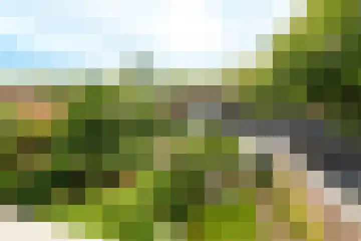Reiderland 2 Zoetermeer thumbnail 32