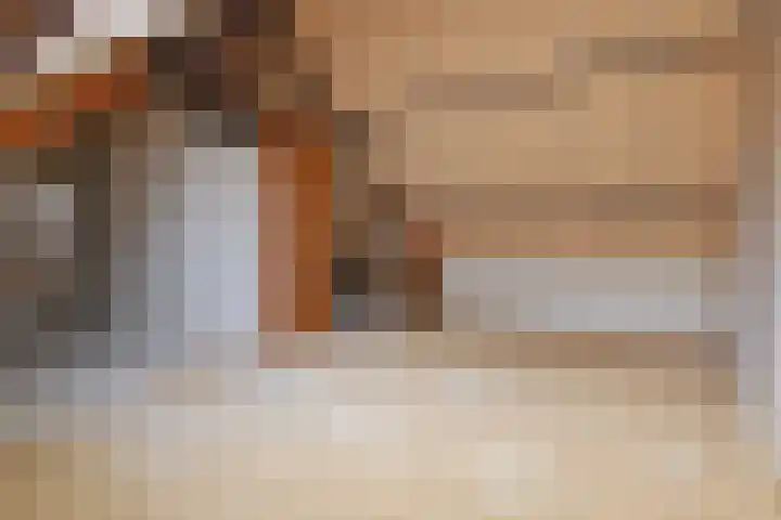 Reiderland 2 Zoetermeer thumbnail 33