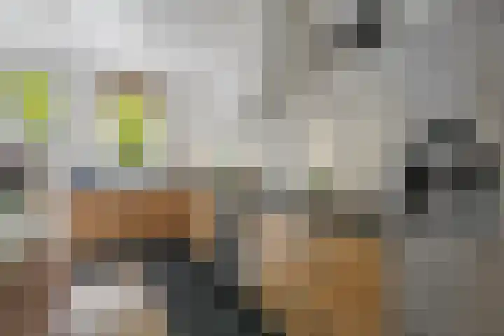 Reiderland 2 Zoetermeer thumbnail 8