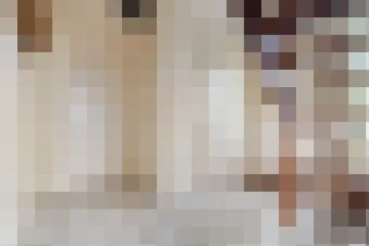 Reidikker 44 Ryptsjerk thumbnail 10