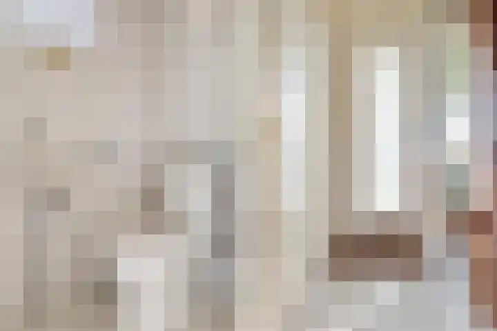 Reidikker 44 Ryptsjerk thumbnail 11