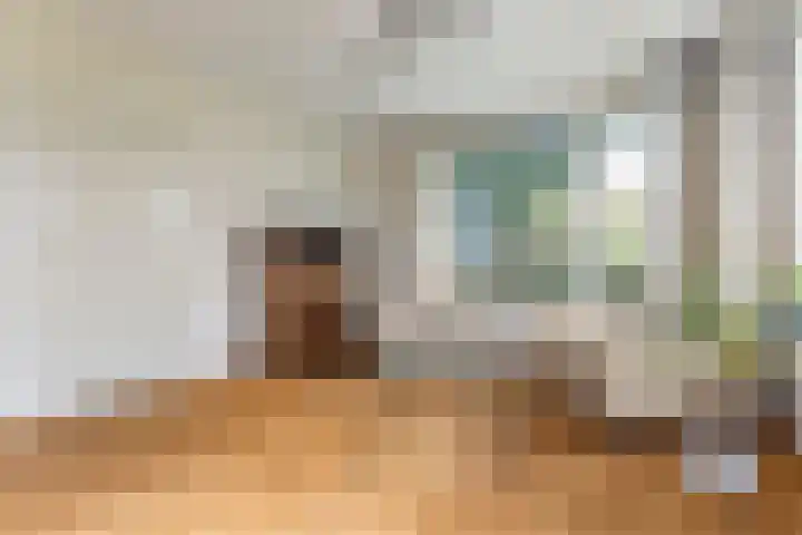 Reidikker 44 Ryptsjerk thumbnail 13