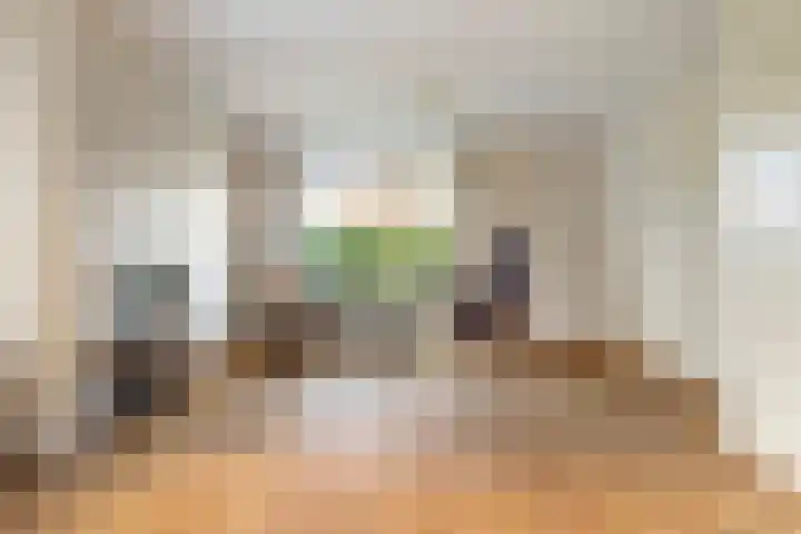Reidikker 44 Ryptsjerk thumbnail 15