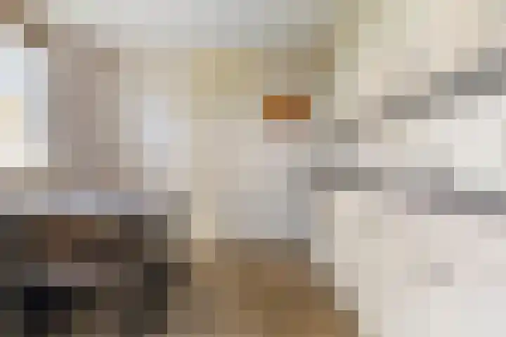 Reidikker 44 Ryptsjerk thumbnail 17