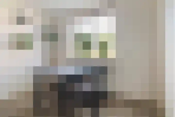 Reidikker 44 Ryptsjerk thumbnail 19