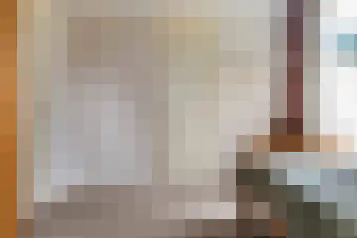 Reidikker 44 Ryptsjerk thumbnail 23