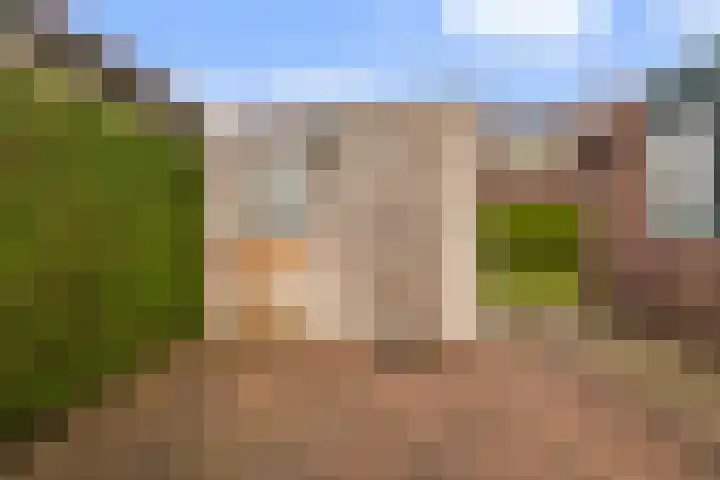 Reidikker 44 Ryptsjerk thumbnail 25