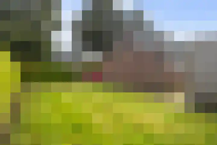 Reidikker 44 Ryptsjerk thumbnail 27