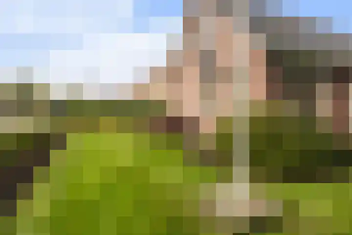 Reidikker 44 Ryptsjerk thumbnail 30