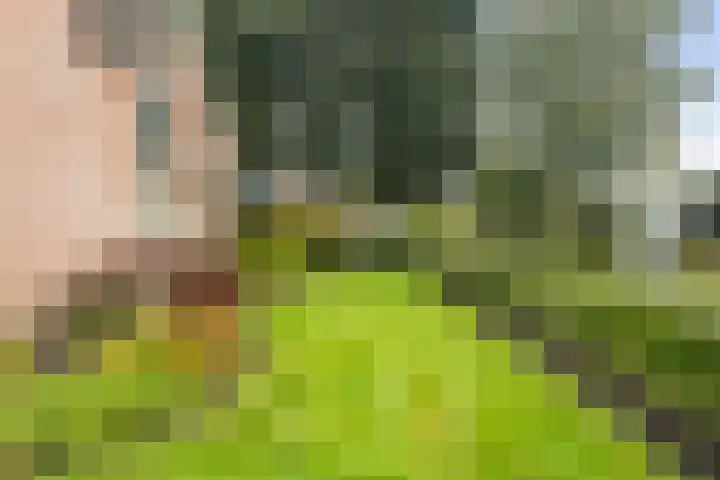 Reidikker 44 Ryptsjerk thumbnail 31