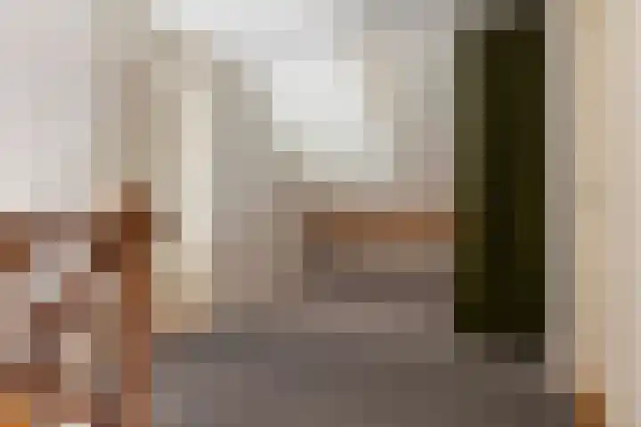 Reidikker 44 Ryptsjerk thumbnail 33