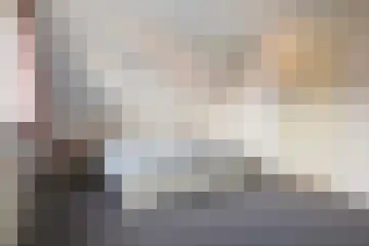 Reidikker 44 Ryptsjerk thumbnail 34