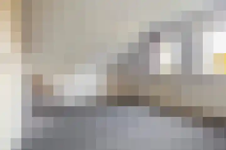 Reidikker 44 Ryptsjerk thumbnail 37
